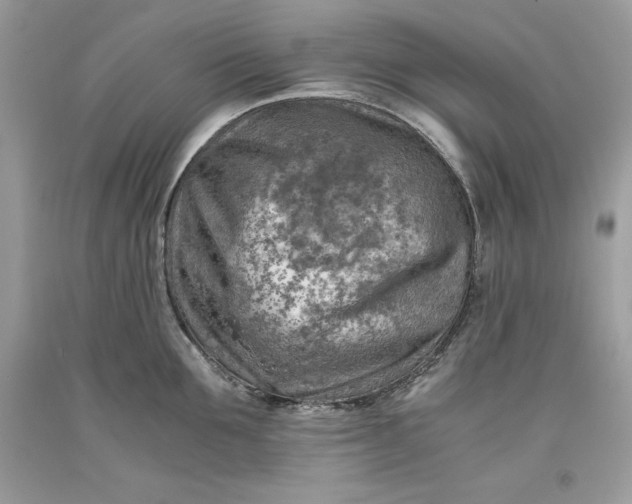 X0000093510907200710261154