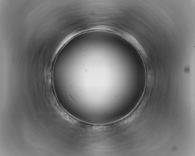 X0000093510908200710261154
