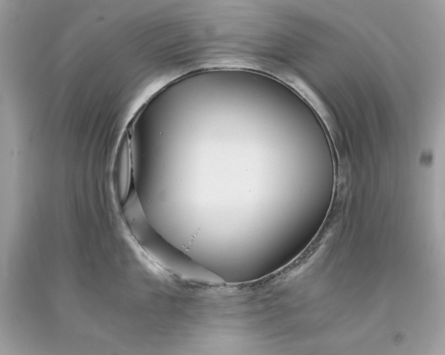 X0000093510909200710261154