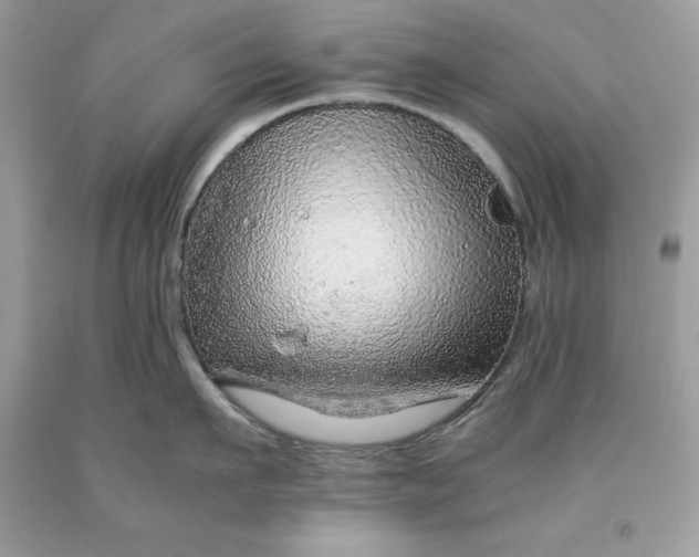 X0000093510911200710261154