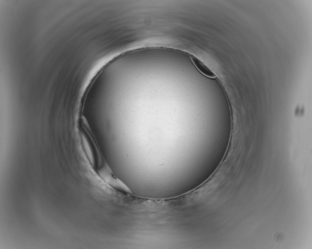 X0000093510912200710261154