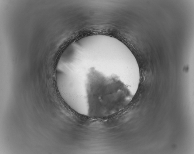 X0000093510913200710261154