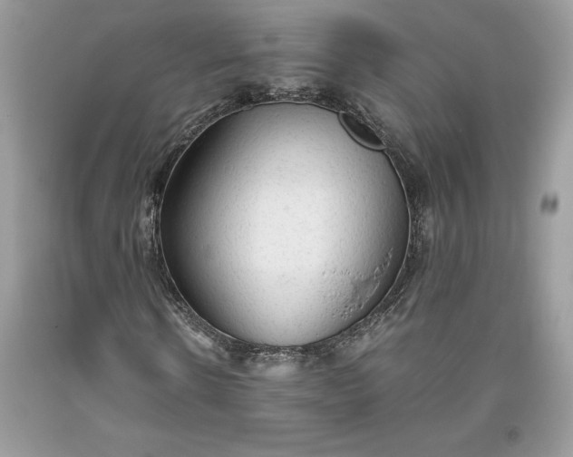 X0000093510914200710261154