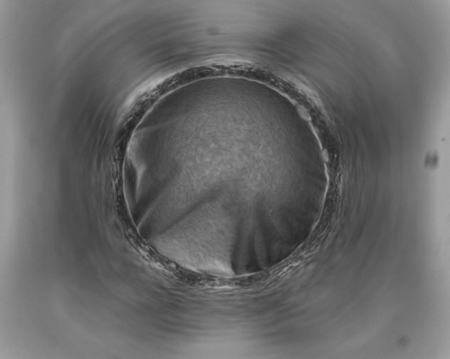 X0000093510920200710261154