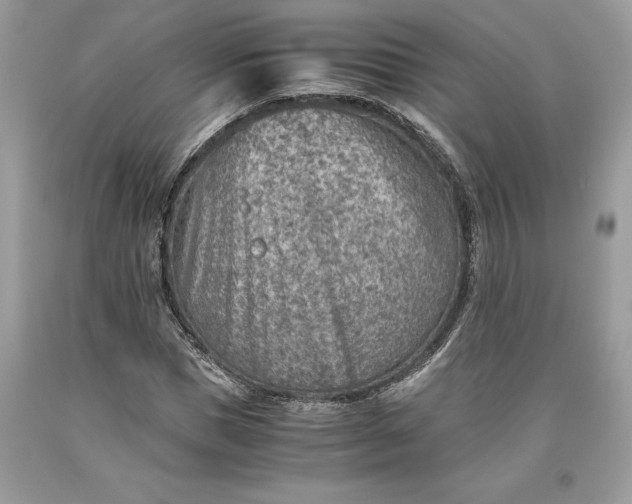 X0000093510921200710261154