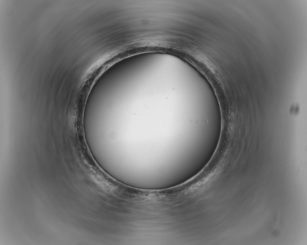 X0000093510922200710261154