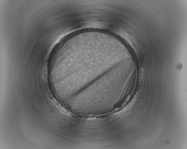 X0000093510923200710261154