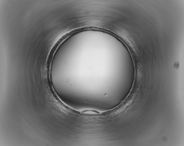 X0000093510924200710261154