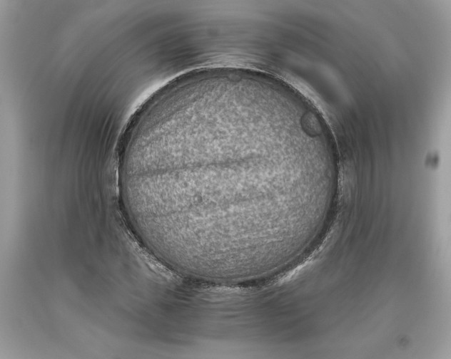 X0000093510925200710261154