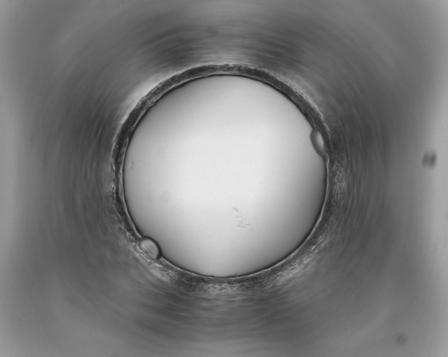 X0000093510927200710261154