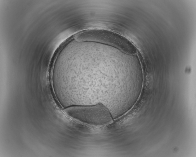 X0000093510928200710261154
