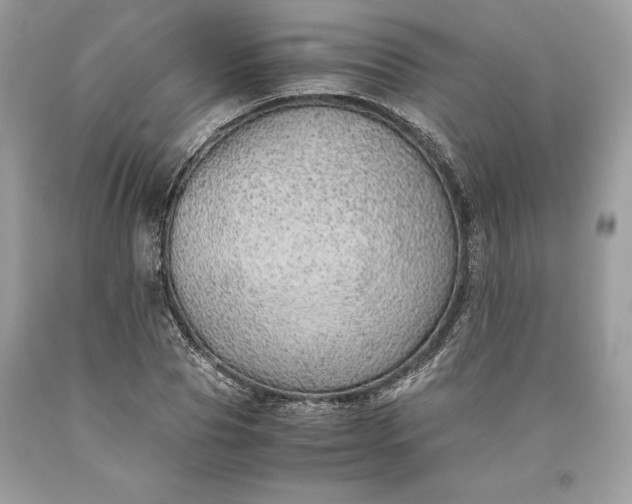 X0000093510929200710261154