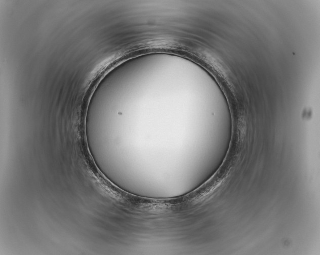 X0000093510930200710261154