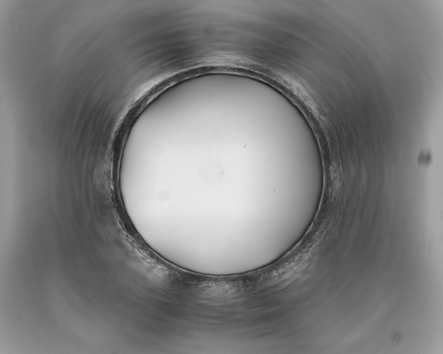 X0000093510931200710261154