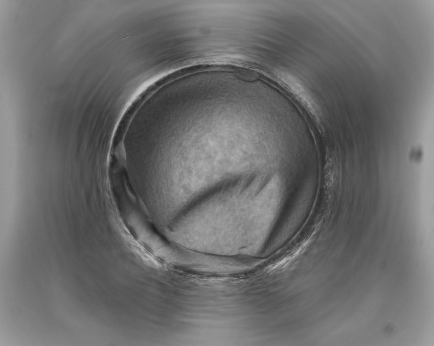 X0000093510932200710261154