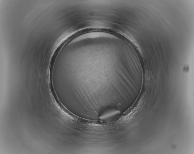 X0000093510935200710261154