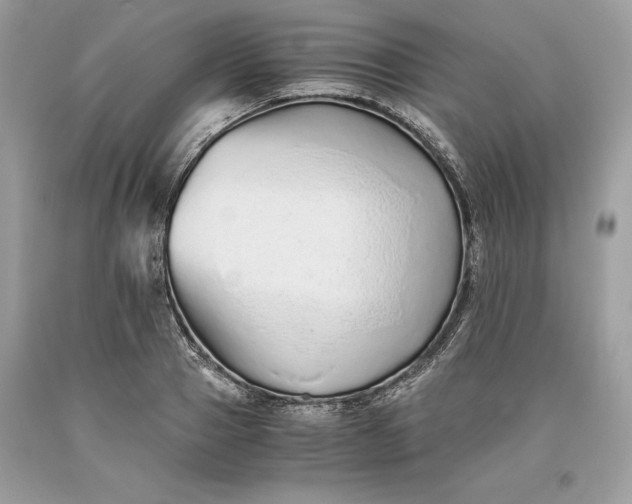 X0000093510937200710261154