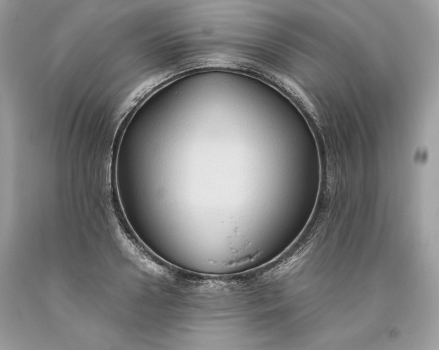 X0000093510938200710261154