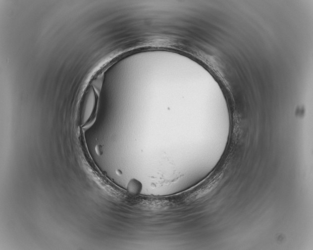 X0000093510939200710261154
