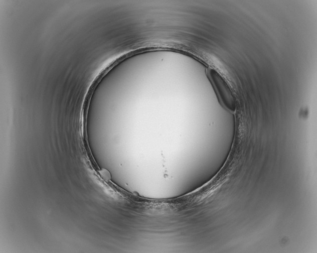 X0000093510940200710261154