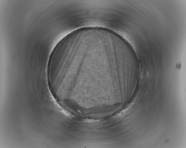 X0000093510943200710261154