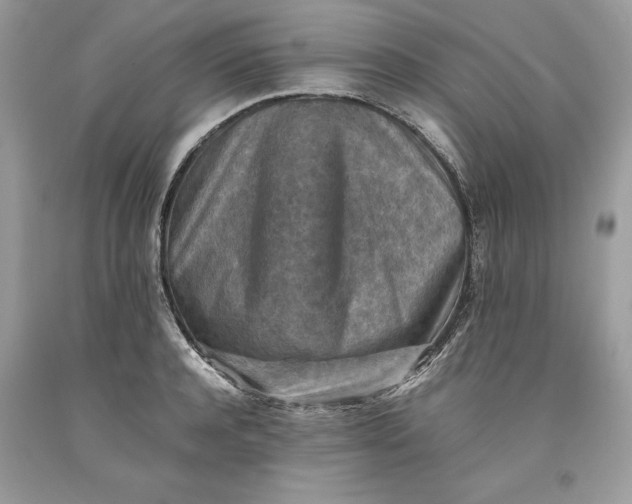 X0000093510944200710261154