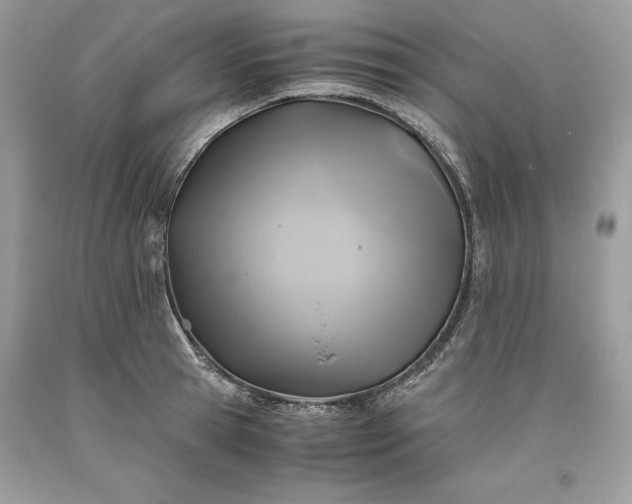 X0000093510945200710261154