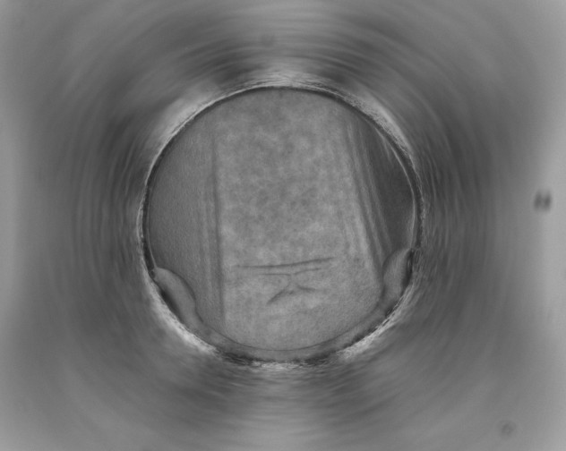 X0000093510946200710261154