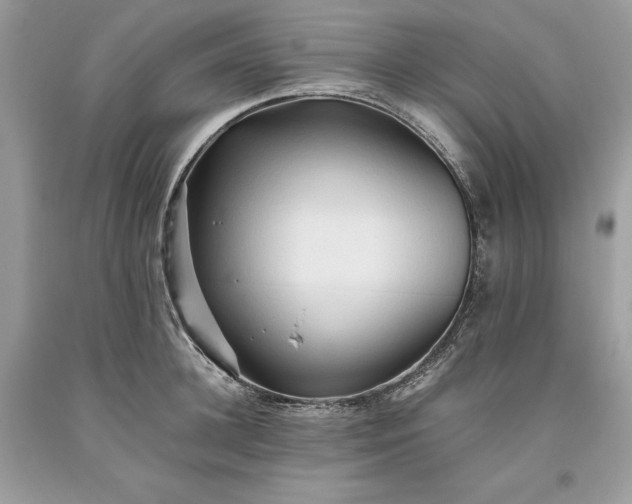 X0000093510948200710261154