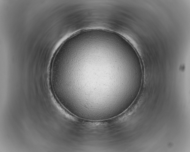 X0000093510949200710261154