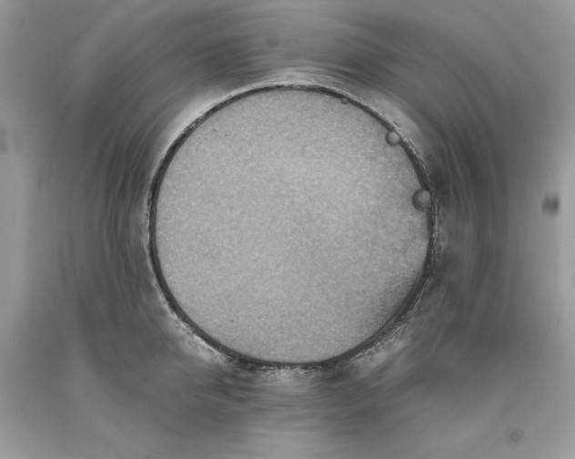 X0000093510950200710261154