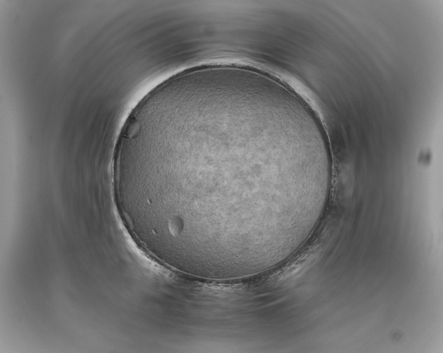 X0000093510951200710261154