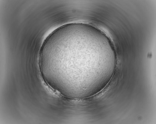 X0000093510952200710261154