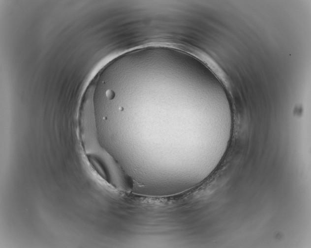 X0000093510955200710261154