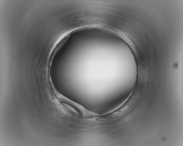 X0000093510956200710261154
