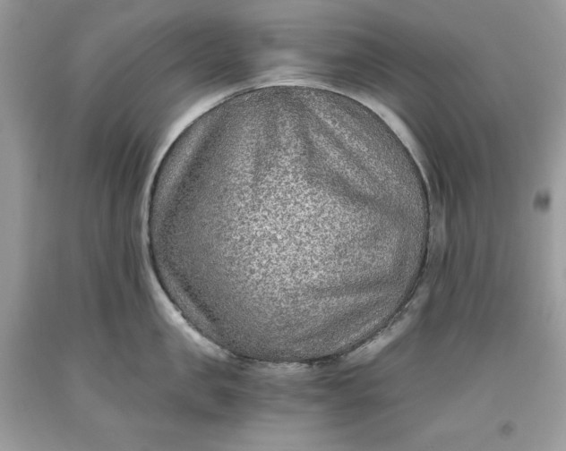 X0000093510957200710261154