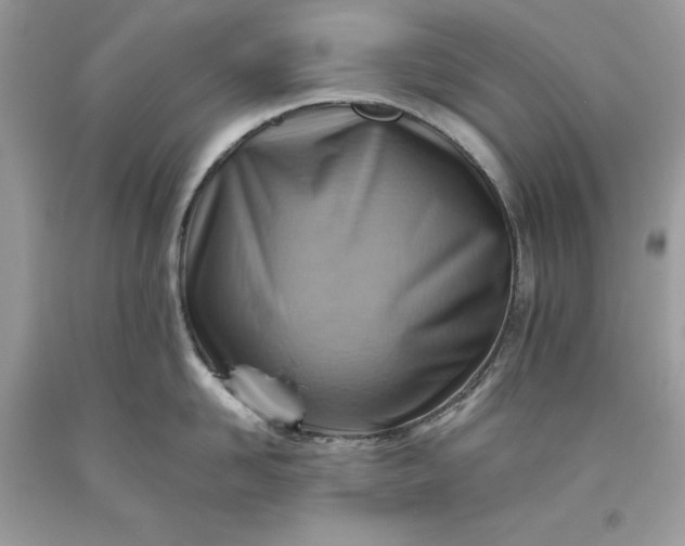 X0000093510958200710261154