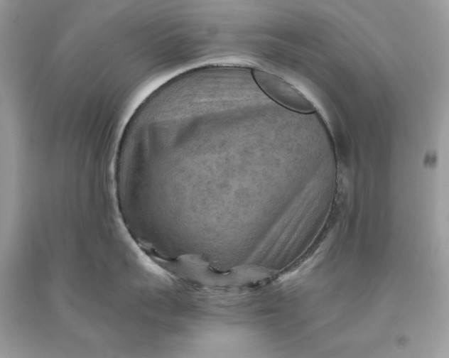 X0000093510959200710261154