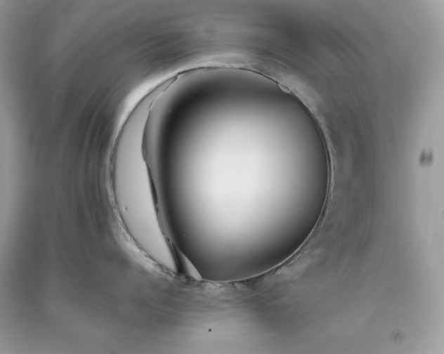 X0000093510960200710261154