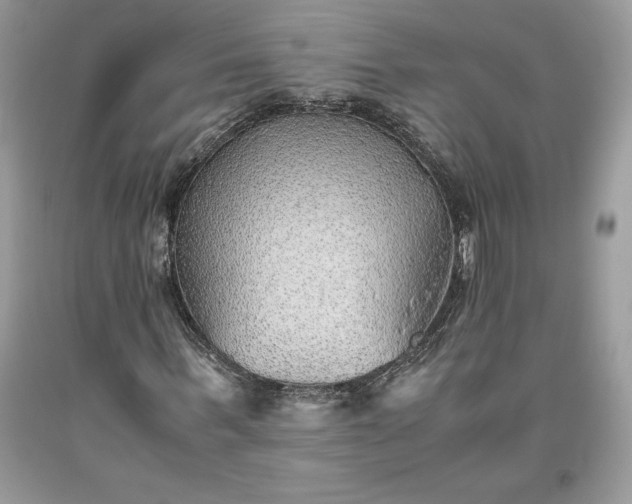 X0000093510963200710261154