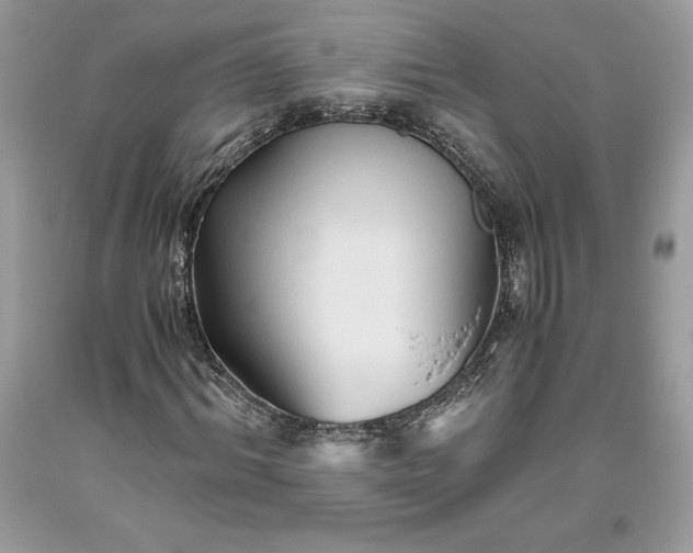 X0000093510964200710261154