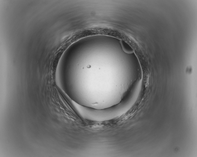 X0000093510965200710261154