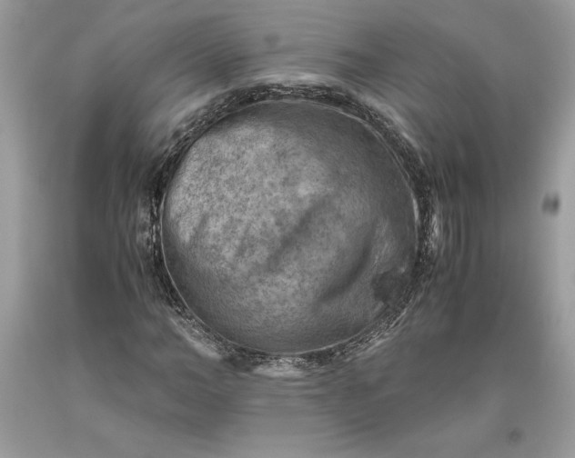 X0000093510966200710261153