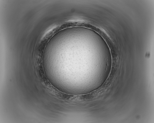 X0000093510967200710261153