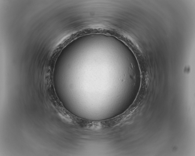 X0000093510968200710261153