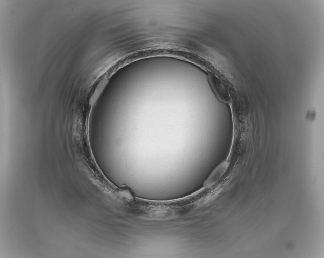 X0000093510969200710261153