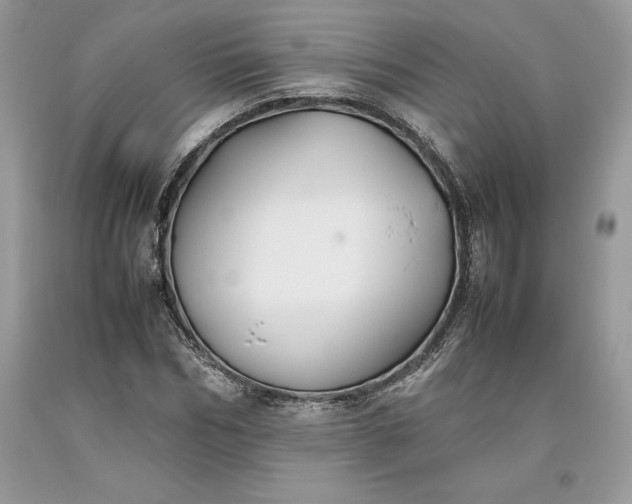 X0000093510970200710261153