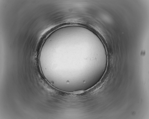 X0000093510971200710261153