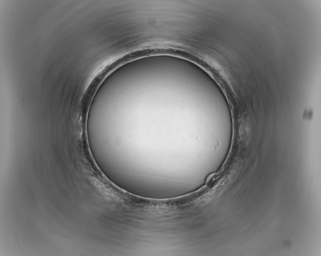 X0000093510973200710261153