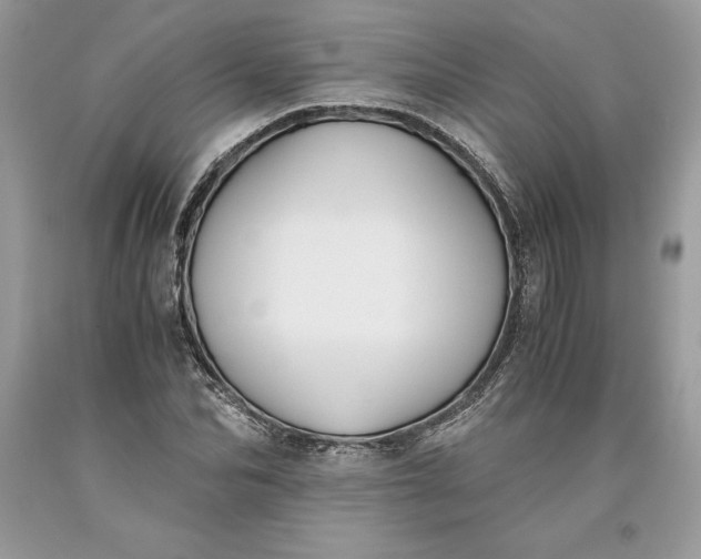 X0000093510974200710261153
